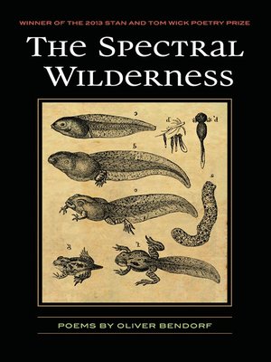 cover image of The Spectral Wilderness